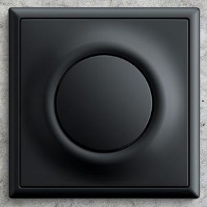 light switch