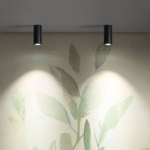 ceiling spotlight 1