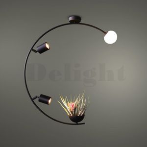 contemporary ceiling light