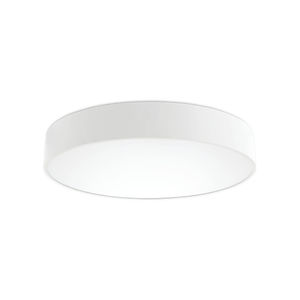 surface-mounted light fixture