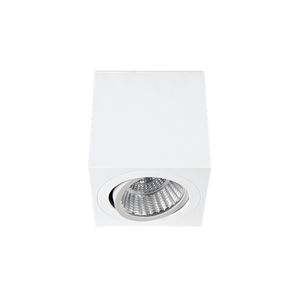 surface mounted downlight