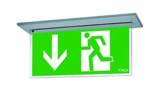 recessed emergency light