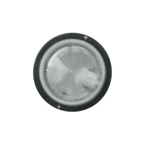 surface-mounted light fixture 1