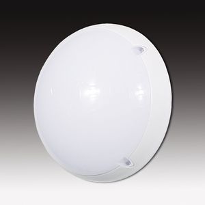 ceiling emergency light