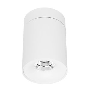 surface mounted downlight 1