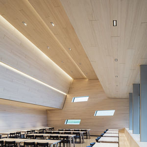 recessed ceiling downlight