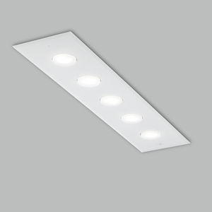 surface-mounted light fixture 1