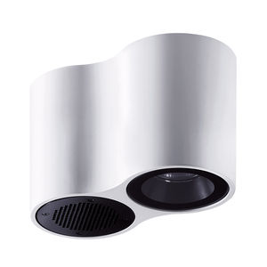 contemporary ceiling light