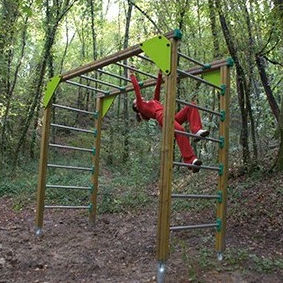 fitness trail ladder