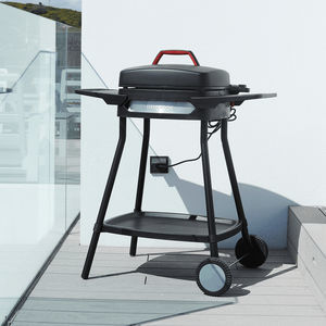 electric barbecue 1