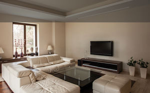 decorative paint