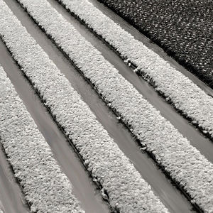 entrance mat for public buildings / building / polyamide / velvet