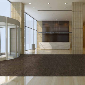 entrance mat for public buildings / polyamide / velvet / dust control
