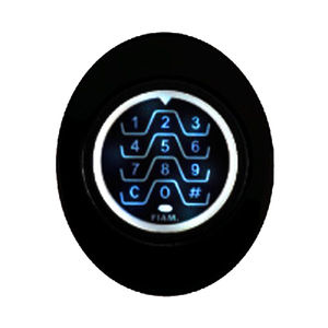electronic lock