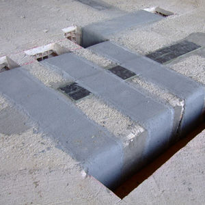 carbon reinforcing fiber 1