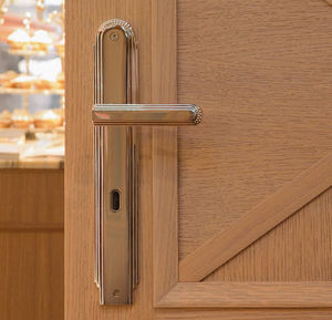 door handle 1