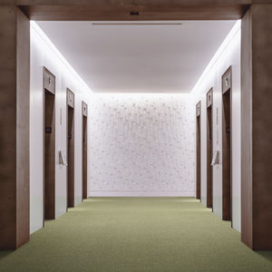 tufted carpet 1