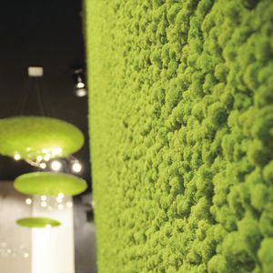 indoor green wall