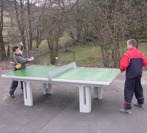 contemporary ping pong table