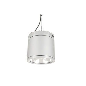 pendant downlight