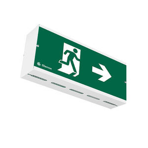 surface mounted emergency light