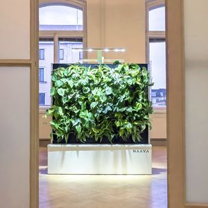 green wall with live plants