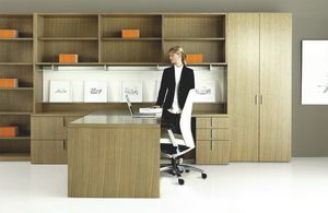 commercial desk and storage set