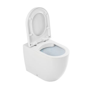 back to wall toilet 1