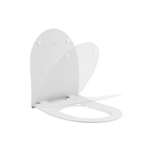 antibacterial toilet seat