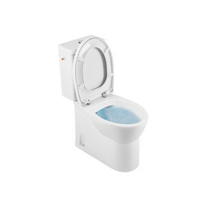 free-standing toilet 1
