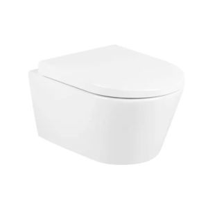 wall-hung toilet 1