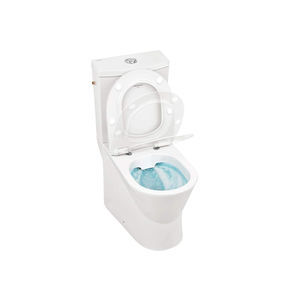 close coupled toilet 1