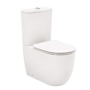 back to wall toilet 1