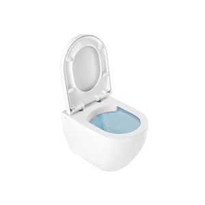 wall-hung toilet 1