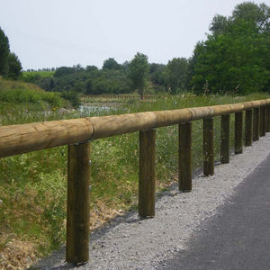 bicycle crossing fence
