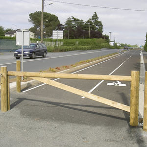 pivoting barrier