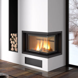 2-sided fireplace insert