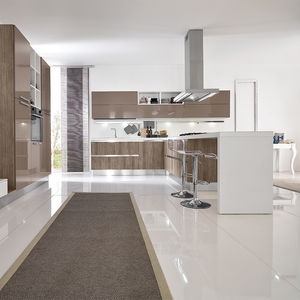 contemporary kitchen 1
