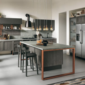 contemporary kitchen 1