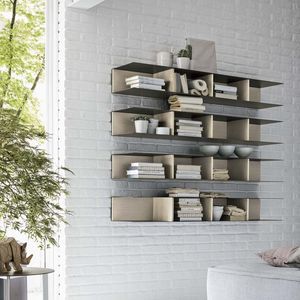 wall-mounted shelves