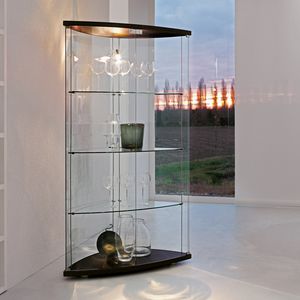 contemporary display case