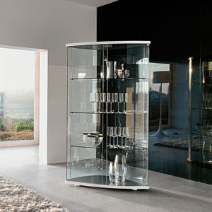 contemporary display case 1