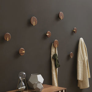 contemporary coat hook