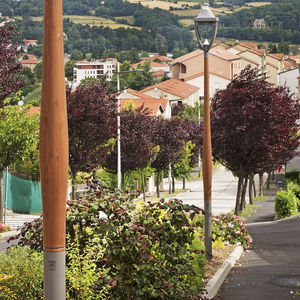 urban lamp post 1