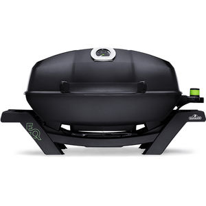 electric barbecue