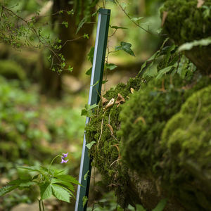 portable lamp