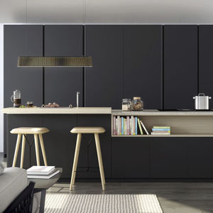 contemporary kitchen