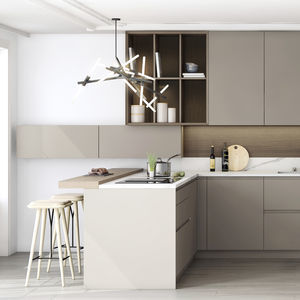 contemporary kitchen 1