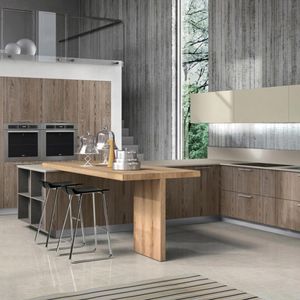 contemporary kitchen