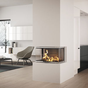 3-sided fireplace insert